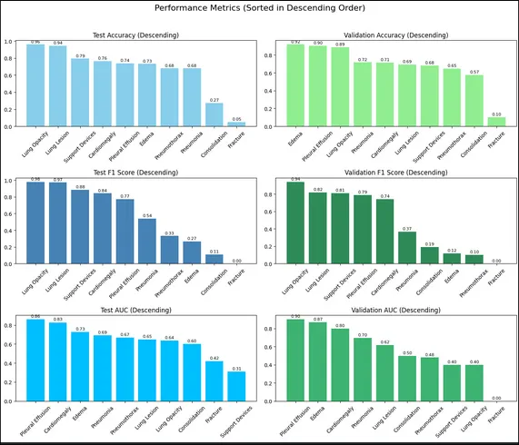 Performance metrics visualization